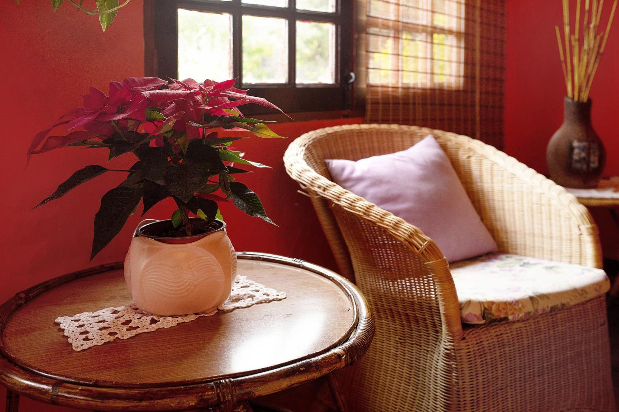 Casa Rural La Asomada เบกา เด ซานมาเตโอ ภายนอก รูปภาพ